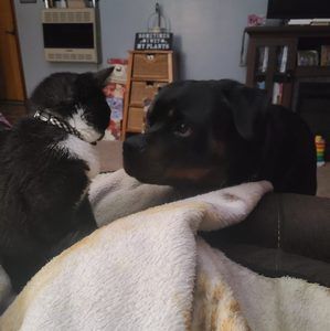 Meet your Posher, Melissa